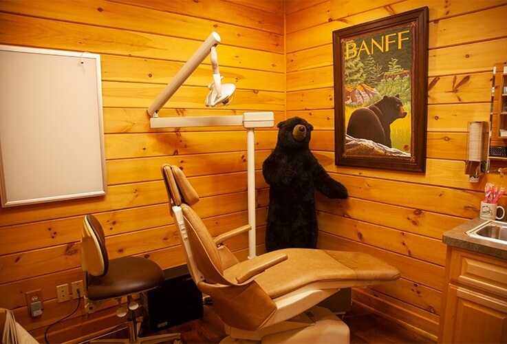 Log cabin themed orthodontic treatment room in Webster
